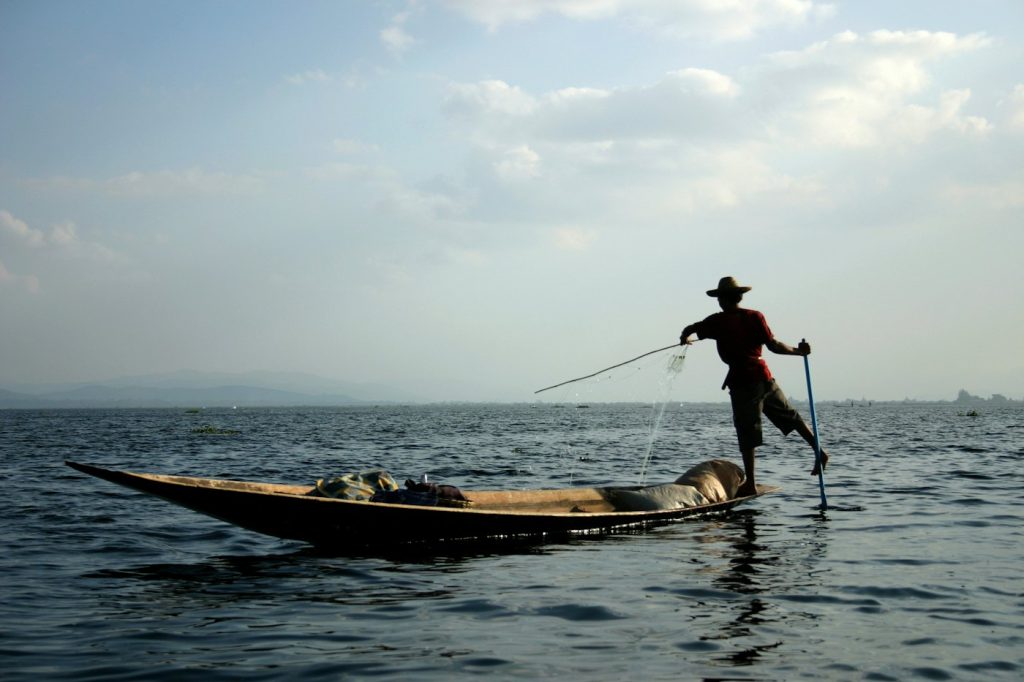 JJ Minnow Illusion Paddle Tails action reference image