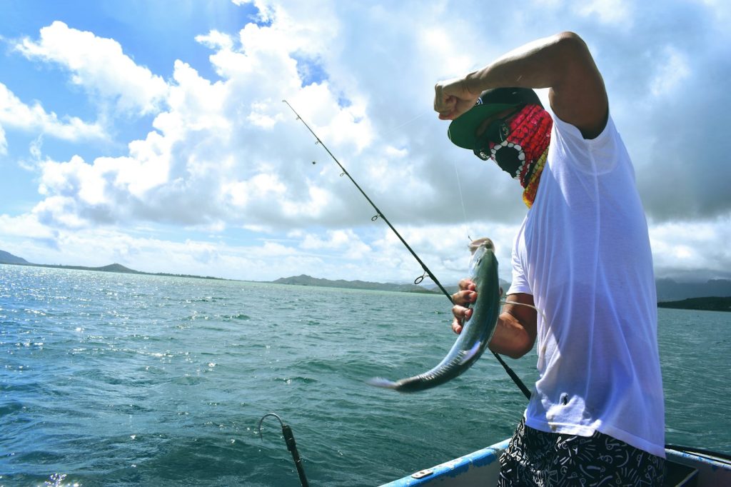 5lb Ballan Wrasse