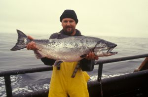 12lb Pollock